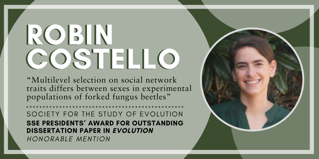 Headshot of Robin Costello. Text: Robin Costello, Multilevel selection on social network traits differs between sexes in experimental populations of forked fungus beetles, Society for the Study of Evolution SSE Presidents' Award for Outstanding Dissertation Paper in Evolution, Honorable Mention.