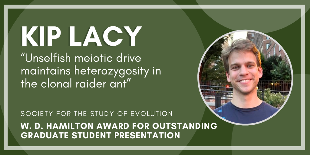 Headshot of Kip Lacey. Text: Kip Lacy, Unselfish meiotic drive maintains heterozygosity in the clonal raider ant, Society for the Study of Evolution W. D. Hamilton Award for Outstanding Graduate Student Presentation.