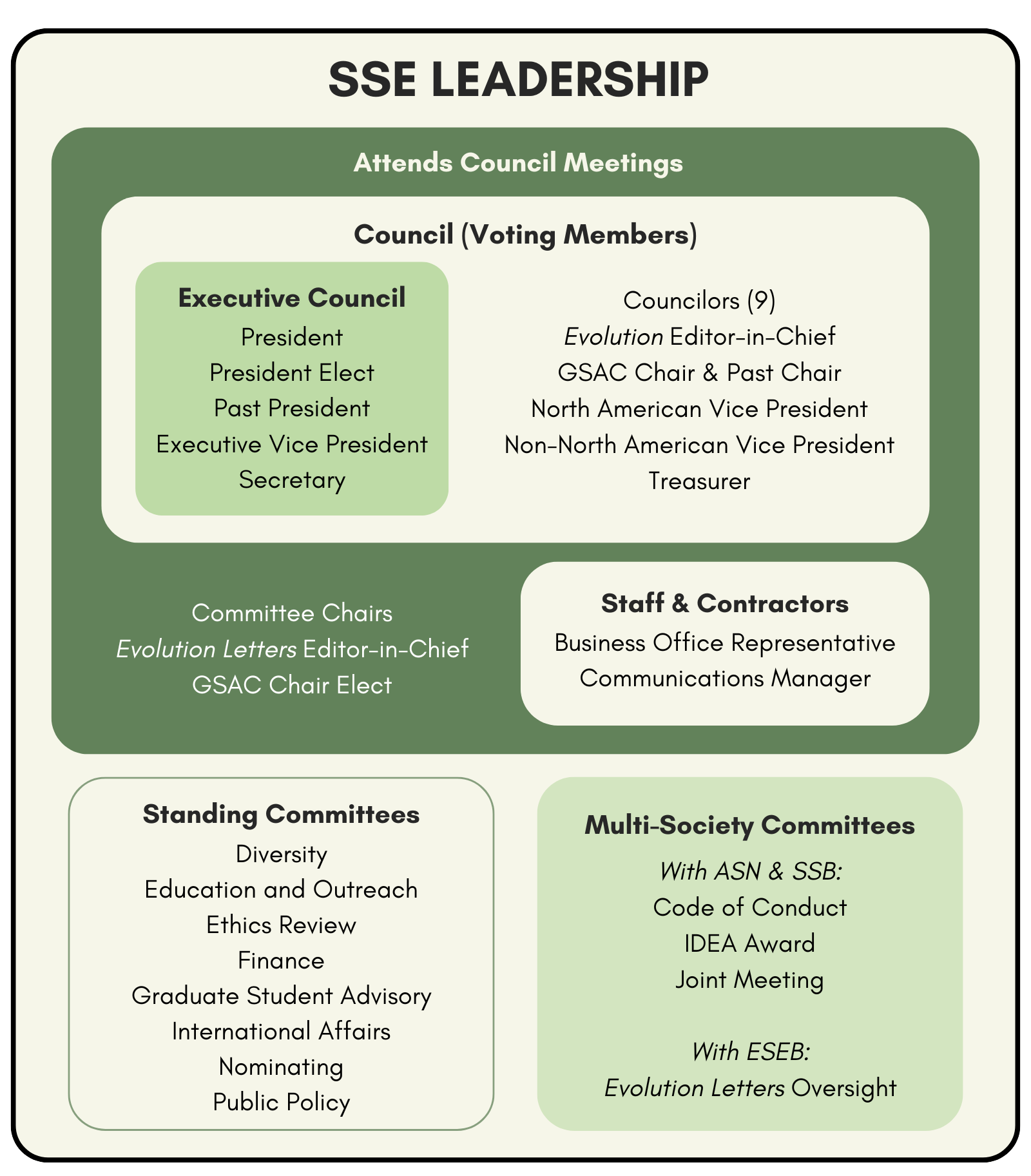 Diagram of SSE Leadership structure.